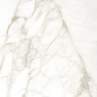 Керамическая плитка Golden Tile для пола, коллекция Imperial Белый 607*607мм